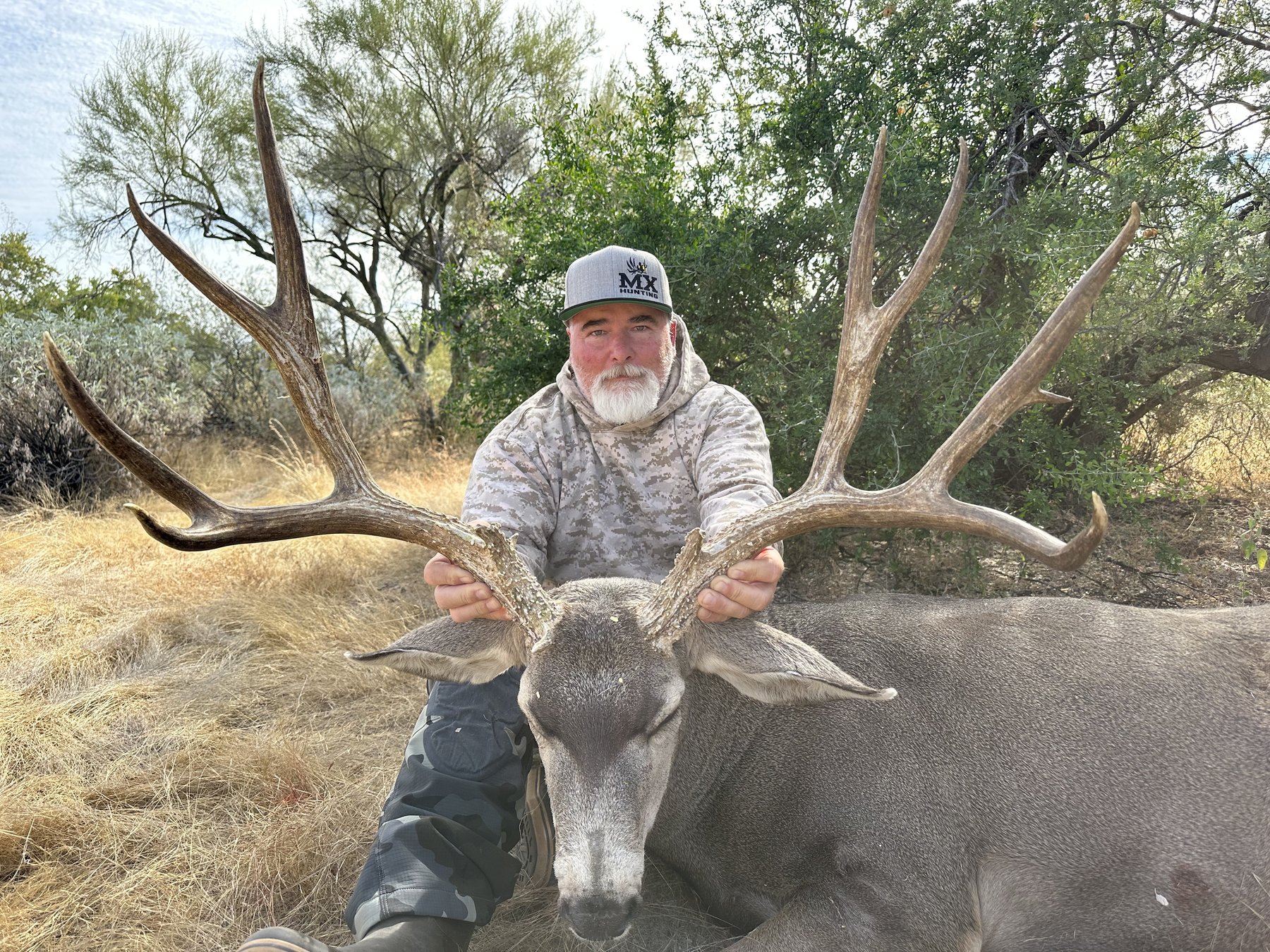 Sonoran mule deer hunt in saguaro country