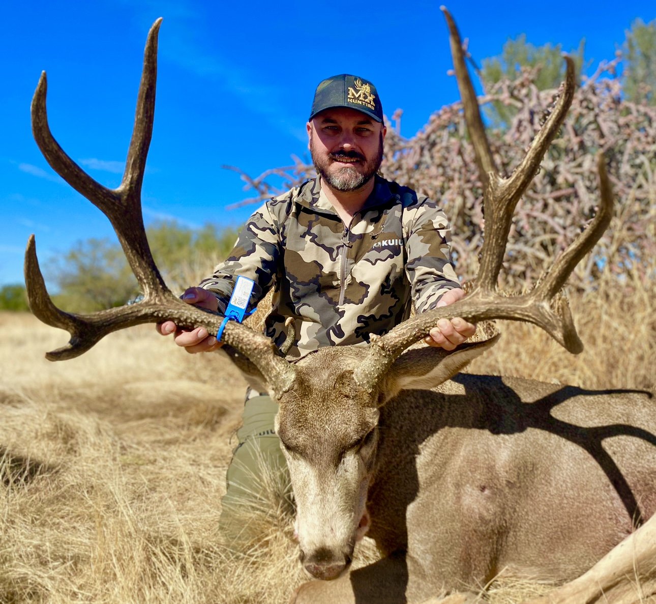 Trophy Sonoran mule deer with MX Hunting Company guides
